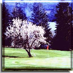 Golfing in the interior of B.C.